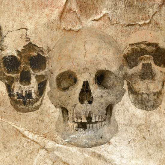 Fossiler