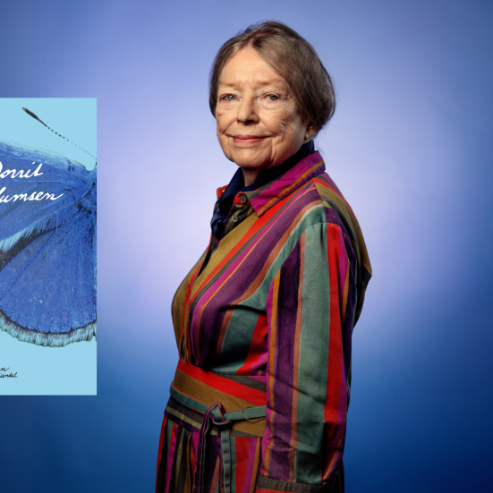 Dorrit Willumsen og bogen 13 et halvt minut