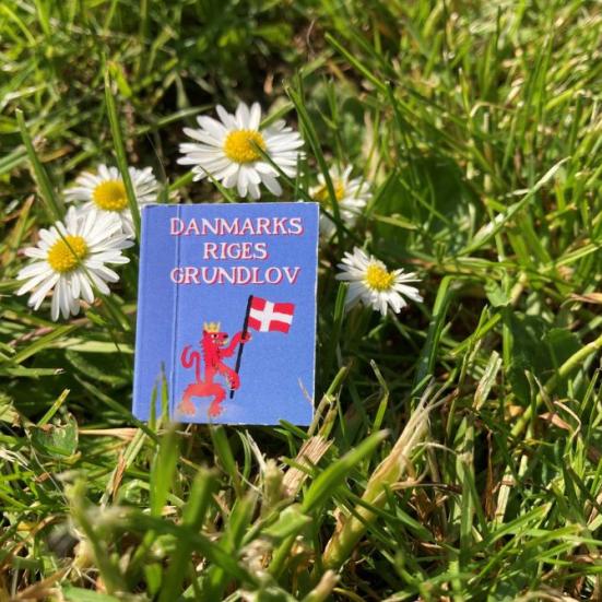 Bog der ligger på græs