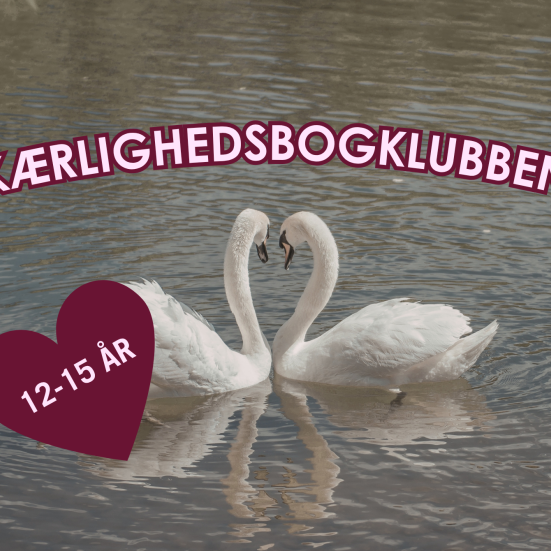 Kærlighedsbogklubben for unge