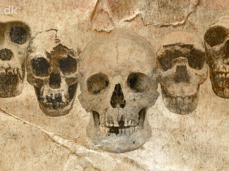 Fossiler