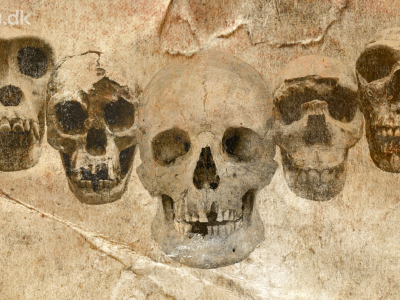 Fossiler