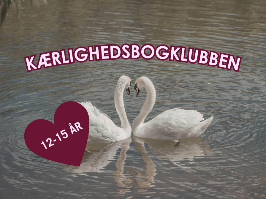 Kærlighedsbogklubben for unge