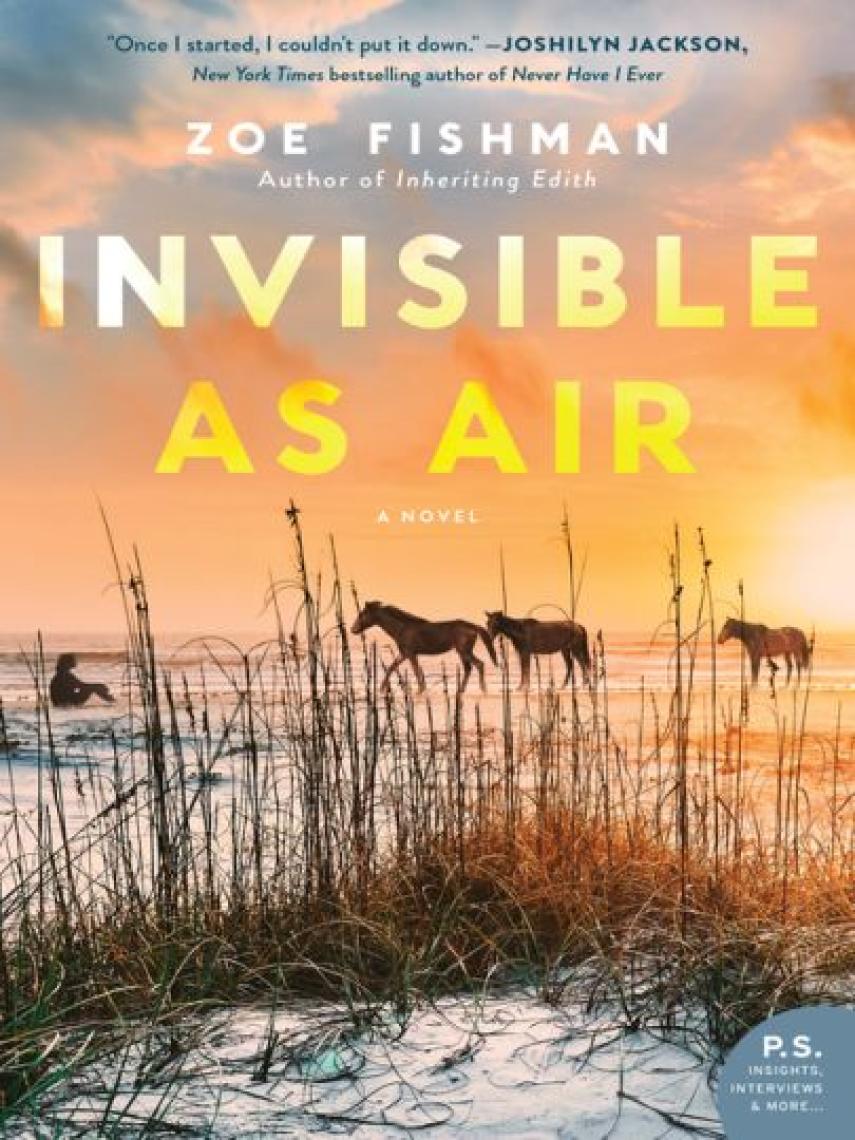 Zoe Fishman: Invisible as Air : A Novel