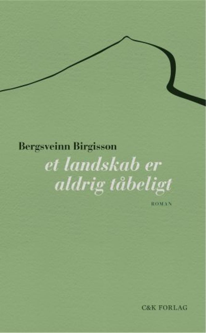 Bergsveinn Birgisson: Et landskab er aldrig tåbeligt : roman