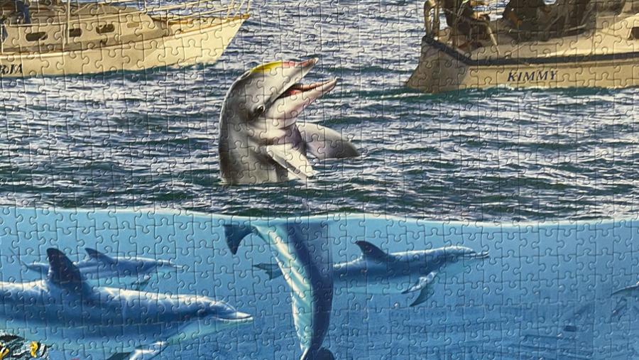 Puslespil med delfin
