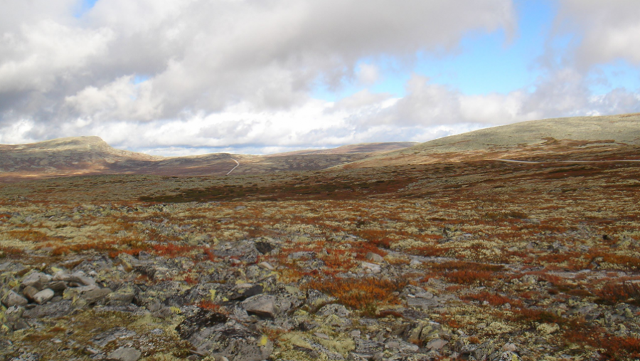 Et smukt, nordisk landskab.