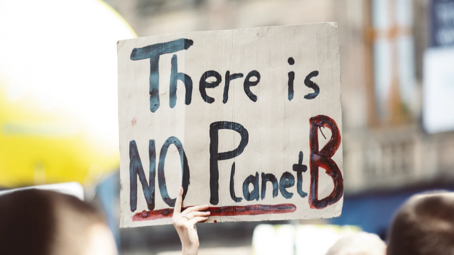 På skiltet står der på engelsk "There is NO Planet B", hvilket kan oversættes til "Der er INGEN Planet B".